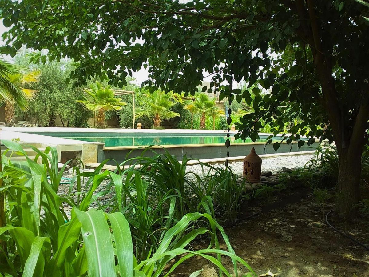 Riad Aman Skoura Exterior foto